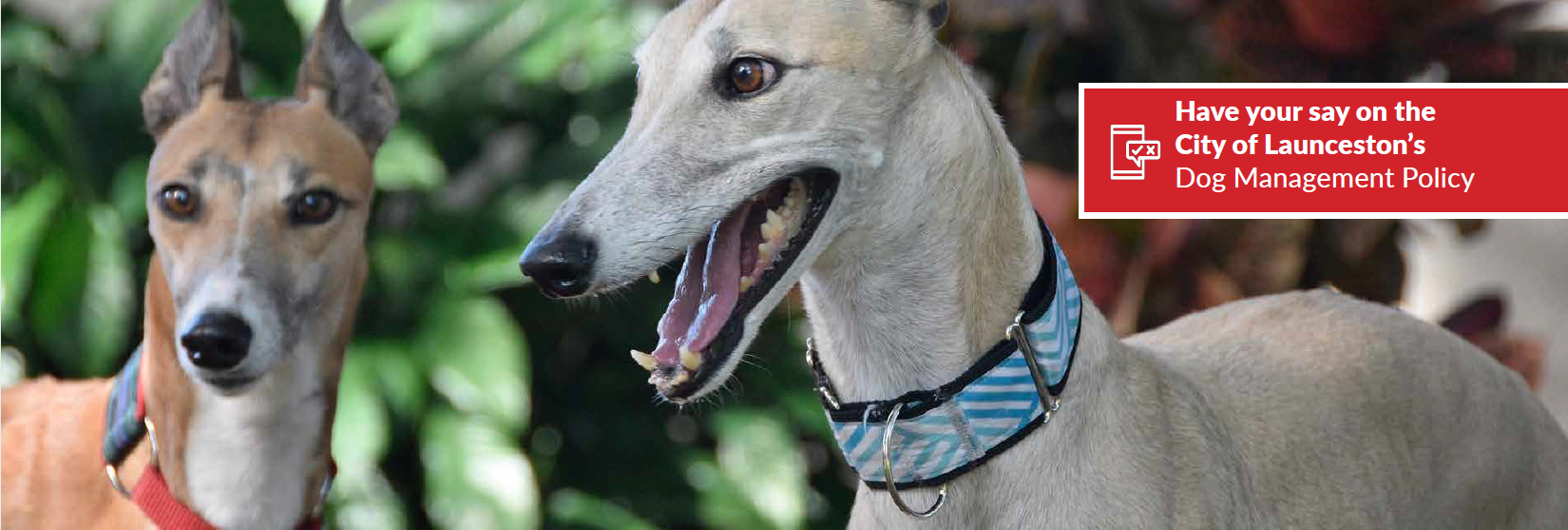 Dog Management Policy - City of Launceston - 2020 - 2.png