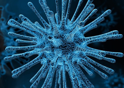 coronavirus pixabay.jpg