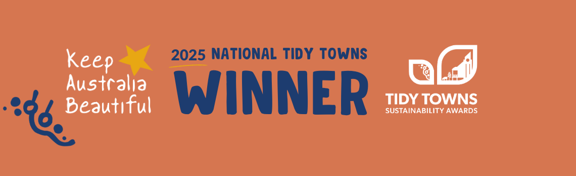 National Tidy Towns.png