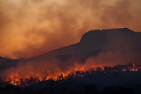 Bushfire image