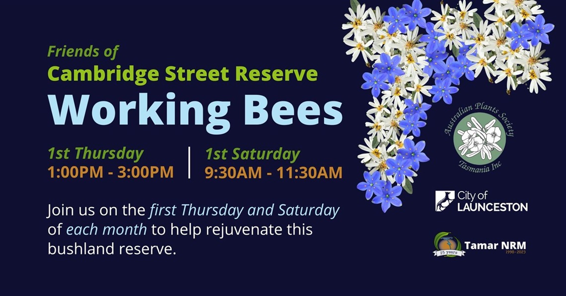 Friends of Cambridge Street Reserve Working Bees Join us on the first Thursday and Saturday of each month to help rejuvenate this bushland reserve.
