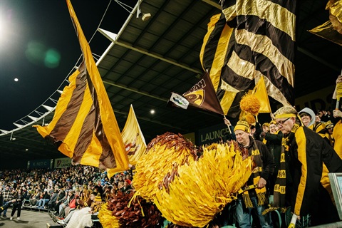 759999-waving-hawks-flags-at-utas-stadium.jpg