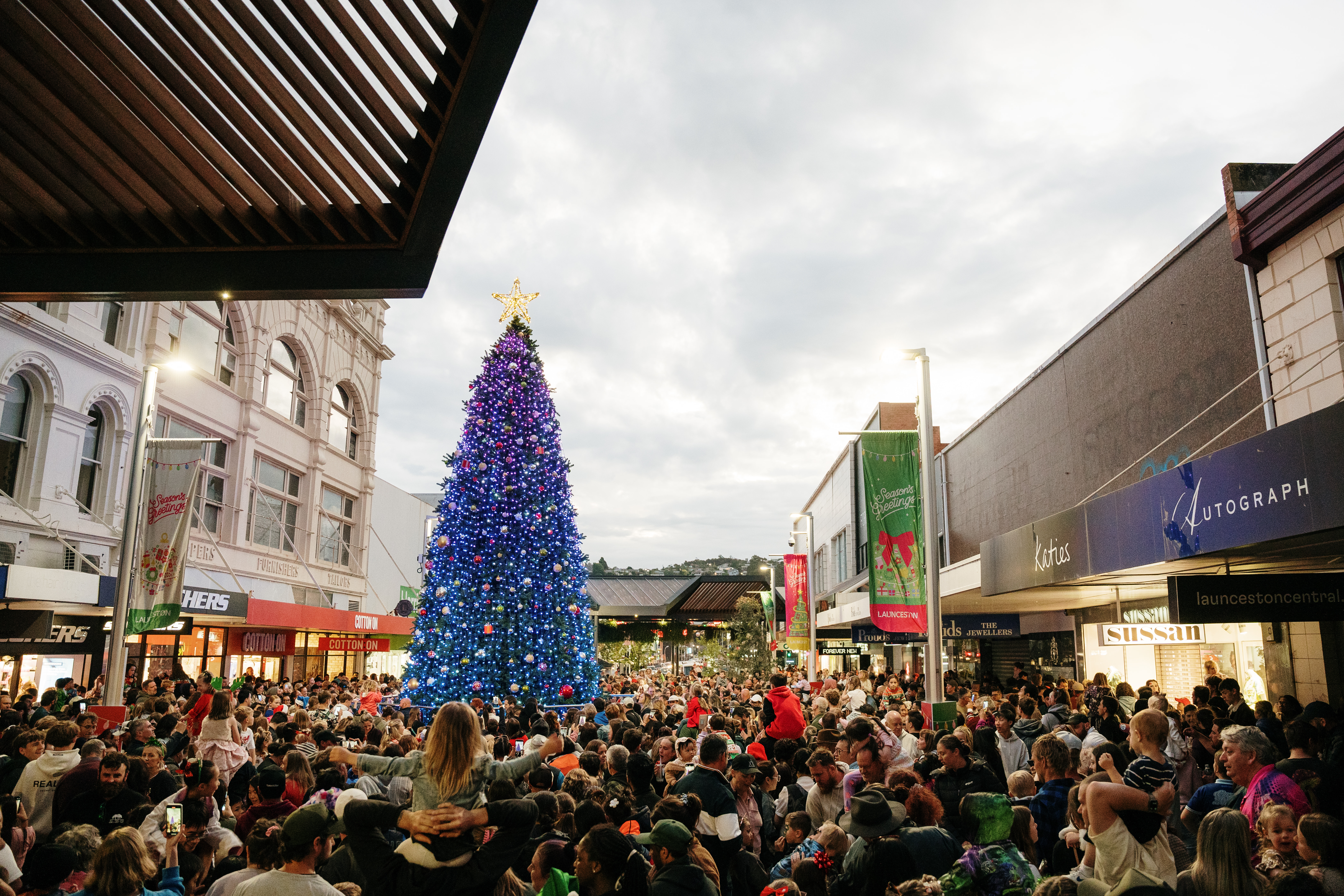 The Launceston Christmas Tree lit up during the Lighting of the Tree 2024 event.