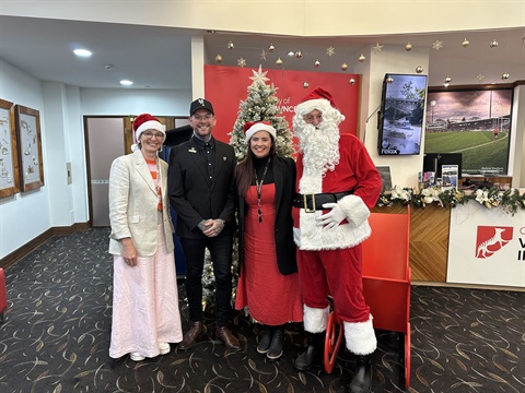 Northern Tasmania's tallest Christmas tree will be illuminated in front of an expected crowd of thousands at the