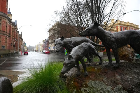 thylacines.JPG