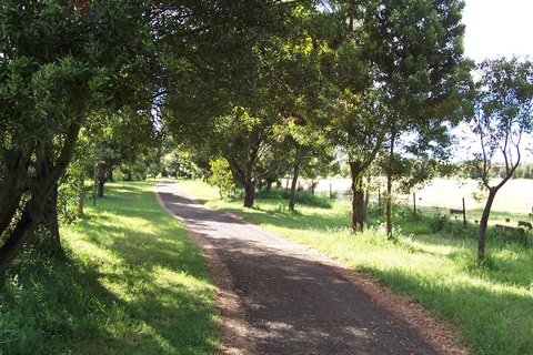 Hoblers Bridge Reserve