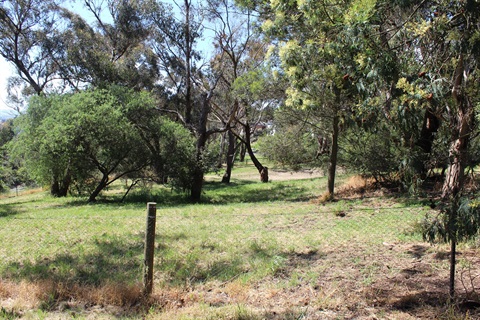 Lawrence Vale Reserve Park