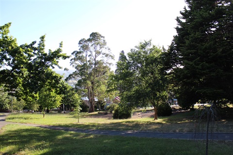 Trevallyn Reserve