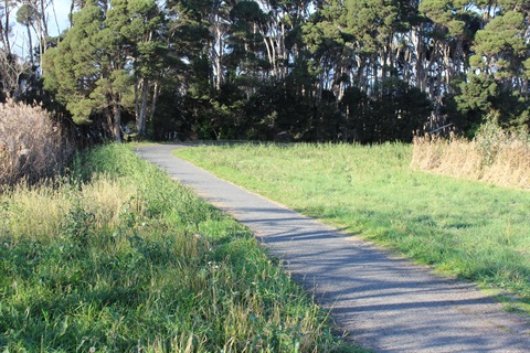 West Tamar Walking Trail