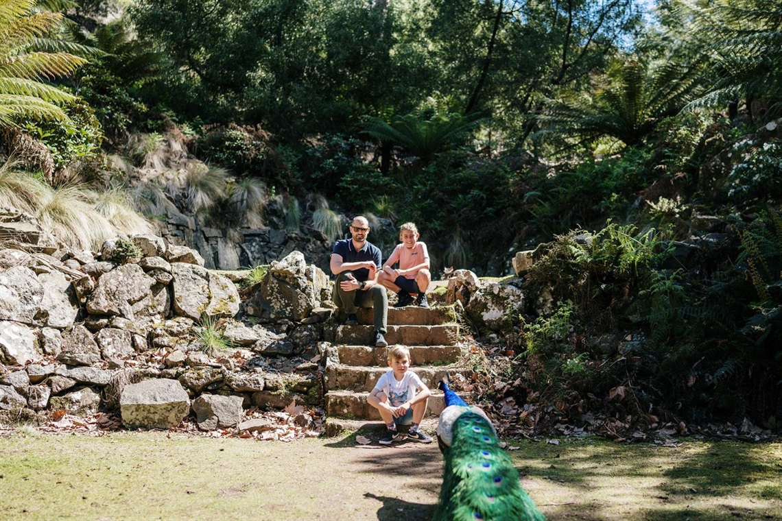 Cataract Gorge Cliff Grounds