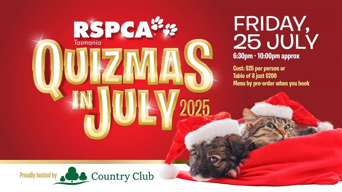 Quizmas