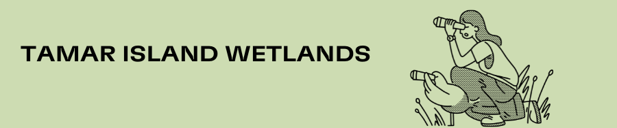 Tamar island wetlands footer