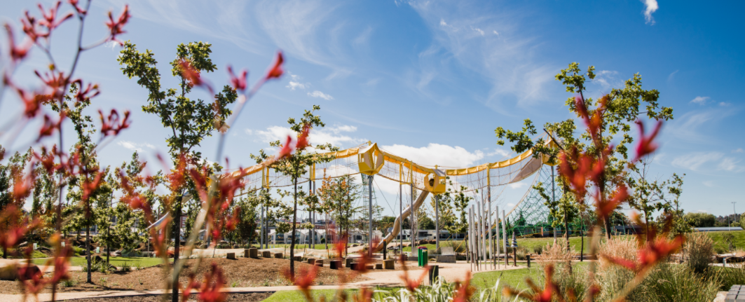 Riverbend Park play equiptment view from behind blooming flowers.png