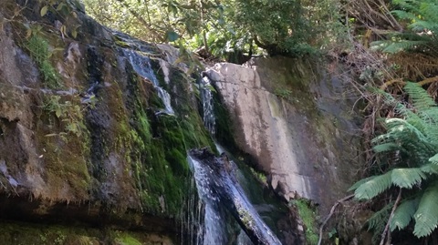 Lilydale Falls Reserve