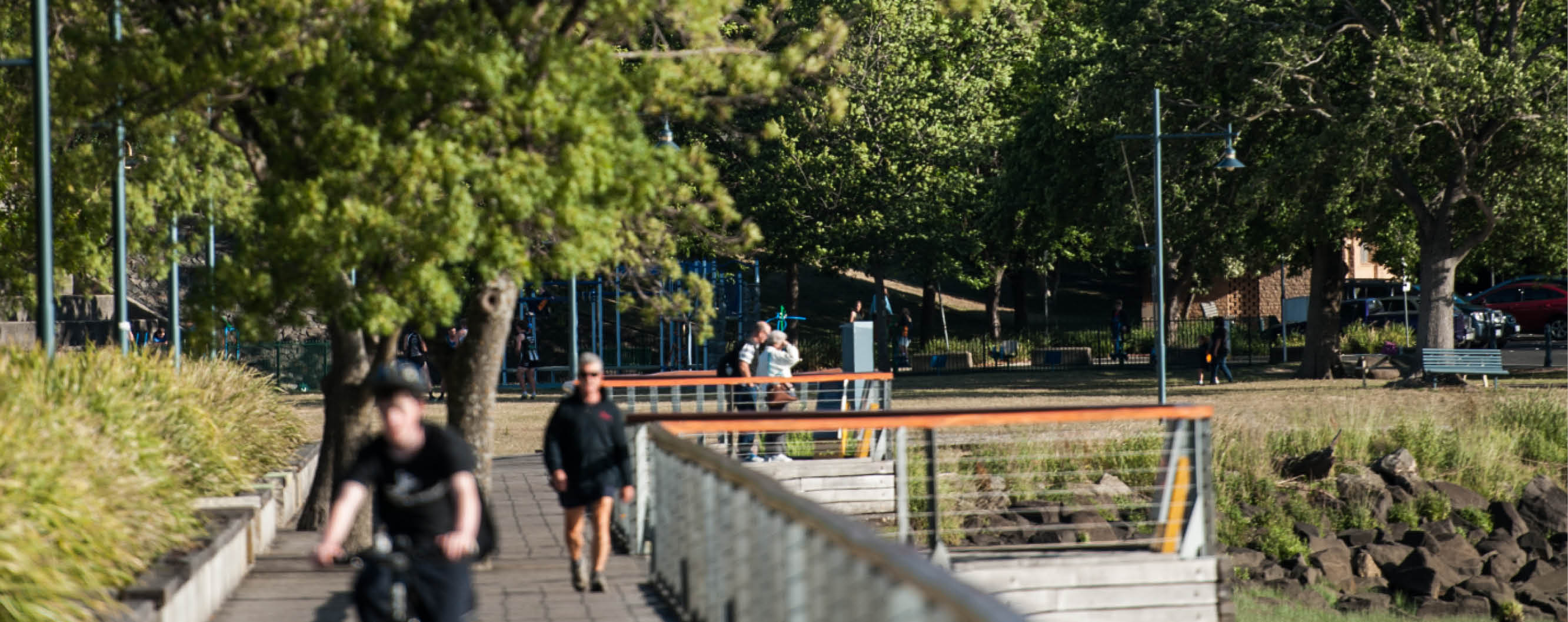 Royal Park board walk