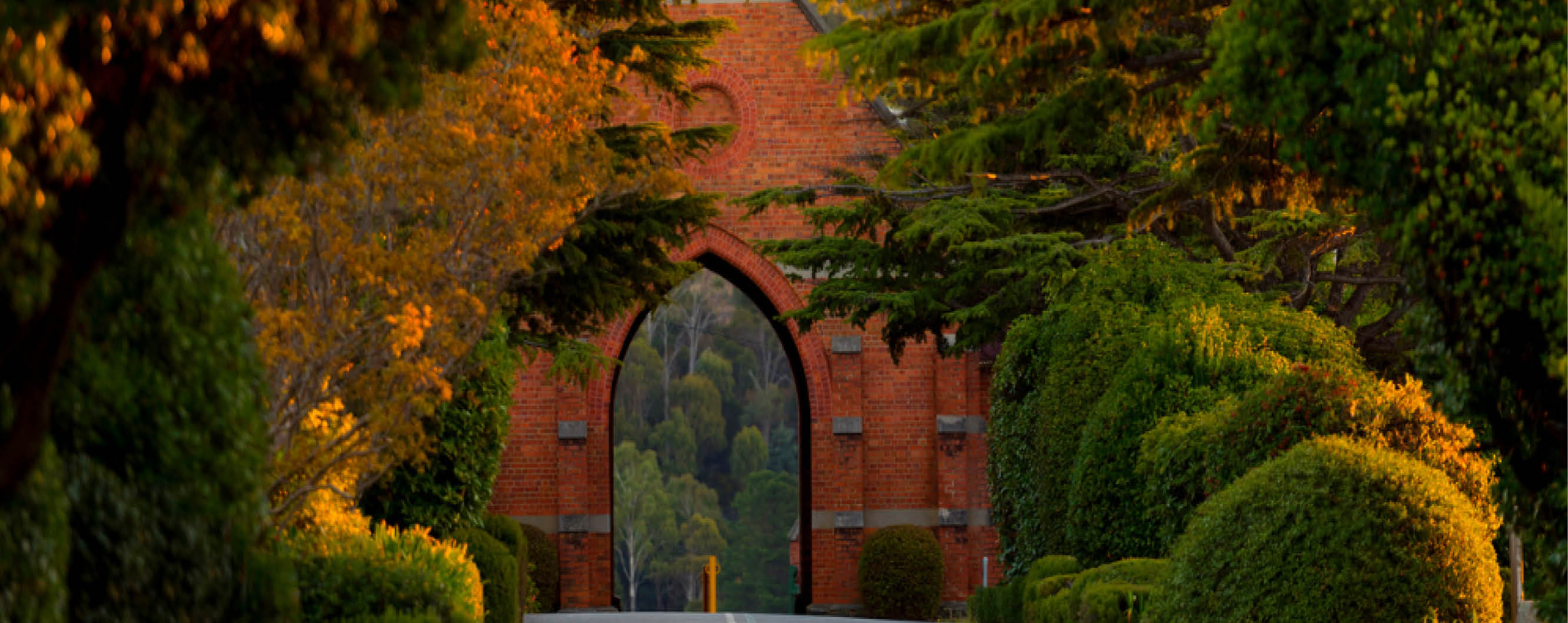 Back side of Carr Villa main entrance arch way, Hedges and trees