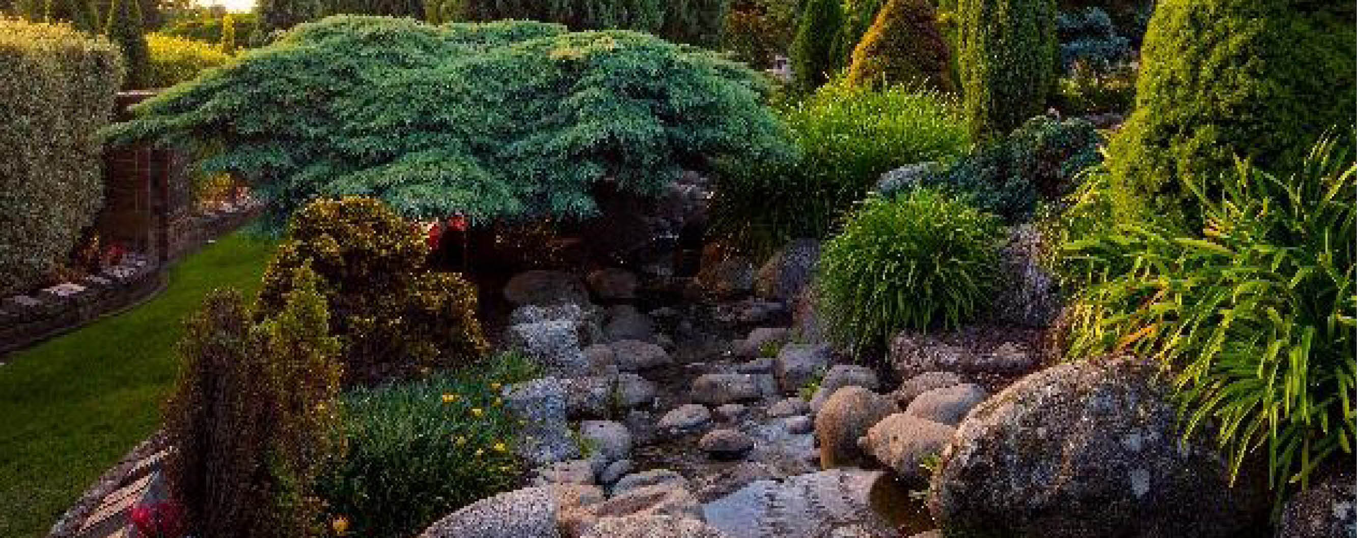 Image of trees and rock pool at Carr Villa 