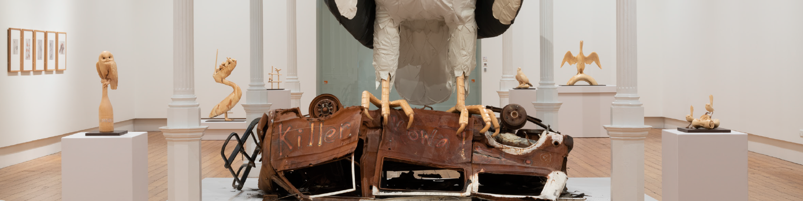 Nest Exhibition QVMAG Summer Season .png