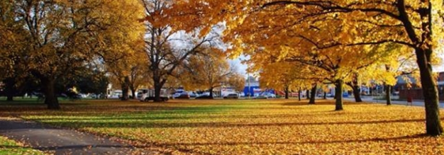 Image of Brickfields park Launceston in autumn