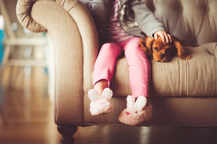 Child sitting on the lounge with puppy dog
